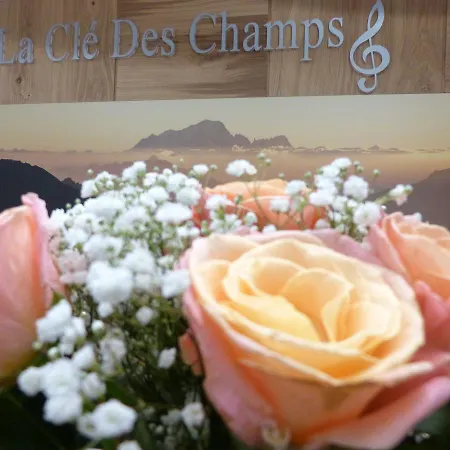 Hotel La Cle Des Champs 3*